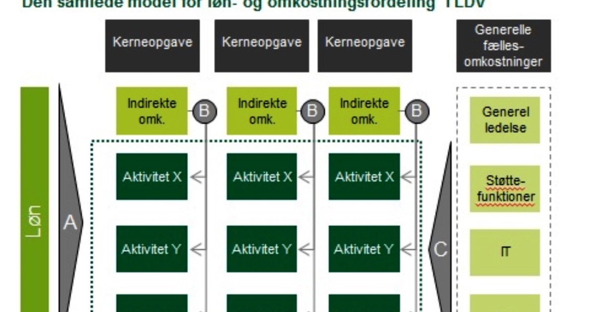 Løn- og omkostningsfordeling i Statens BI – LDV